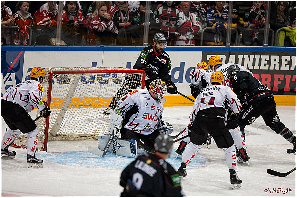 Koelner Haie - Pinguins Bremerhaven, 25.10.2016